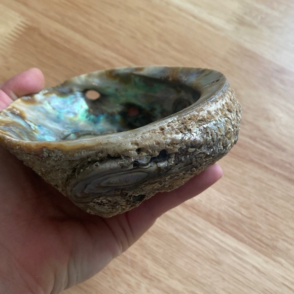 Elegant Iridescent Shell Art - Picture 6 of 14